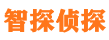 甘孜市私家侦探